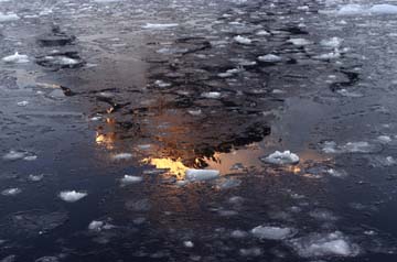 reflection