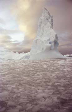 the_iceberg
