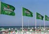 Heineken flags