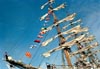 Amsterdam Sail 2000, seinvlaggen