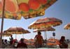 solero parasols